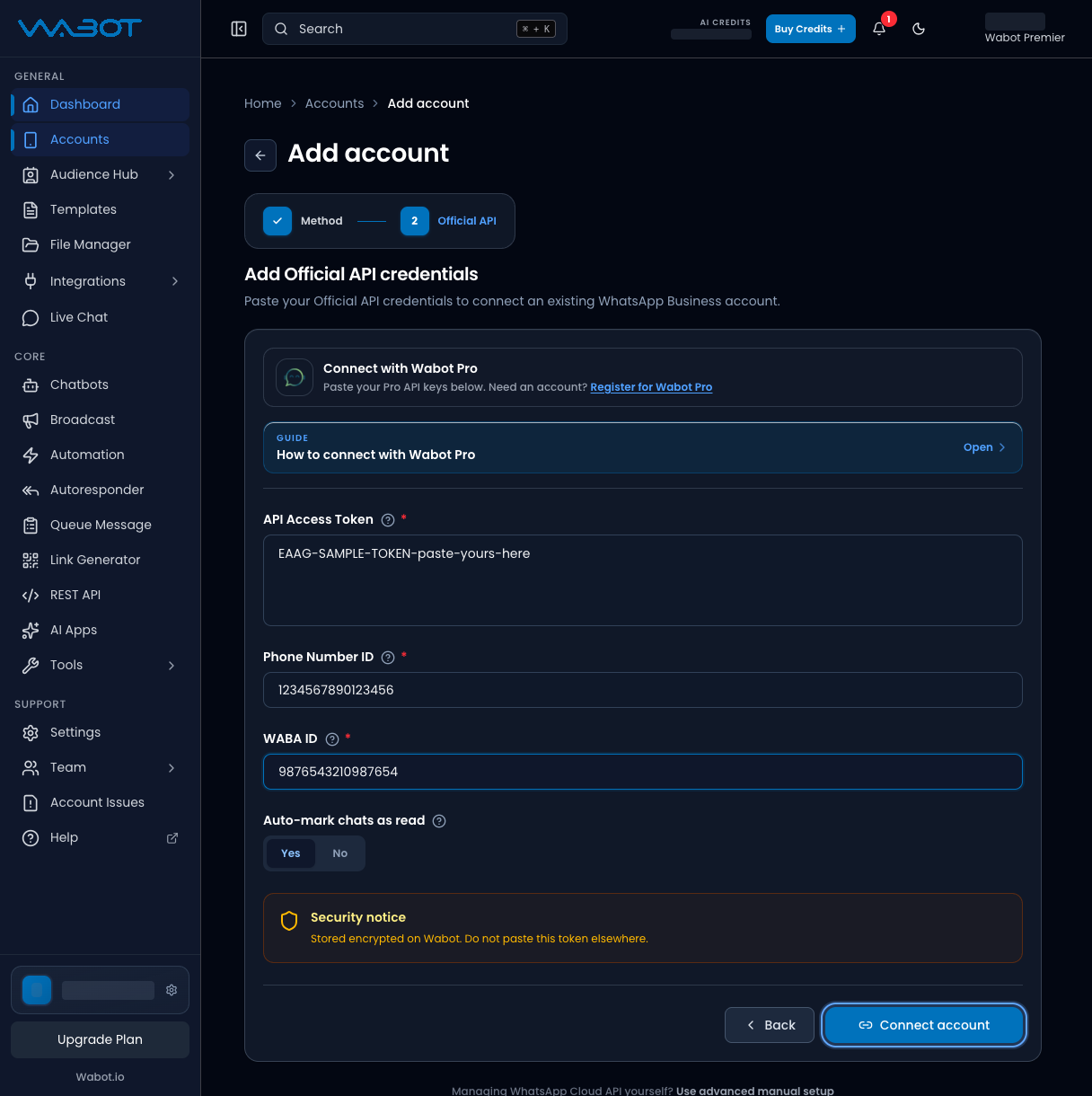 Official API form filled with sample values and the Connect account button highlighted